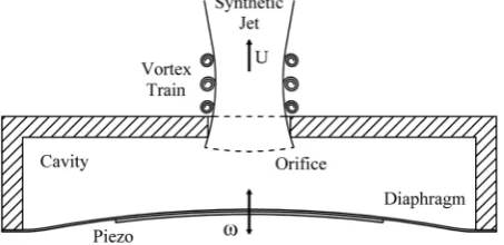 Figure 1. Sketch of a typical synthetic jet device driven by a piezoelectric element. 