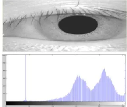Fig. 2: Input Image &amp; Histogram Chart. 