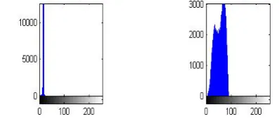 Fig. 6. Encryption Histogram of Selective Encryption Frame for AVI Video  