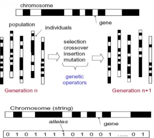 Fig. 4:  Binary Encoding uses 0’s and 1’s in a chromosome 