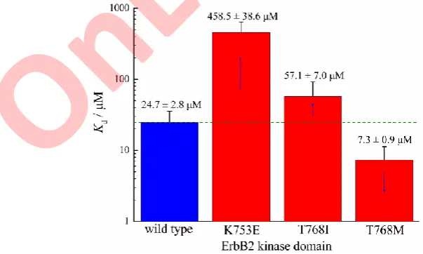 Fig. 3. The binding affinity ( Kd values) of ATP molecule to wild-type ErbB2 kinase domain and its three mutants