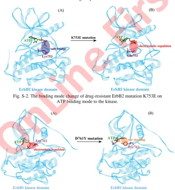 Fig. S-3. The binding mode change of drug-resistant ErbB1 mutation D761Y on ATP binding mode to the kinase