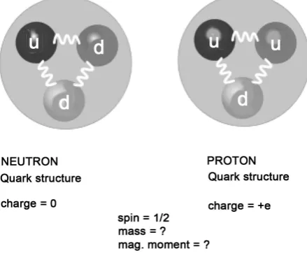 Figure 1. Protons and neutrons in Gell-Mann’s quark model. The charges of quarks are chosen so that the transformation of neutron into proton carried by replacing one d-quark on u-quark