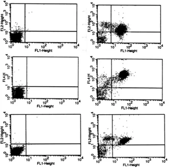 Figure 1: antibody and isotype control stained PBMCs. The number of PBMCs that are positive for and express CD14/MCSFR (top panel), CD14/CD11b (middle panel) and CD14/TNFRII (bottom panel) on their cell surface are shown in the upper right of each quadrant of each dot plot 