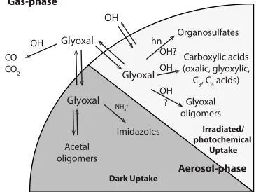 Figure 1.Simplified schematic of glyoxal reactions withinglyoxal with OH produce carboxylic acids, leading to oxi-aqueous AS aerosol