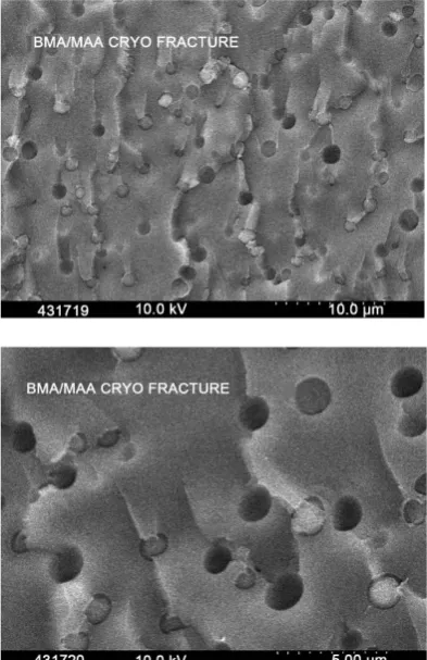 Figure 7. The micrographs (two different scales: top—all marked range is 10 µm for 10 tics; bot-tom—a range is 5 µm for the 10 tics) from Cryo-SEM examination of hydrated copolymer 90/10 BMA/MAA film