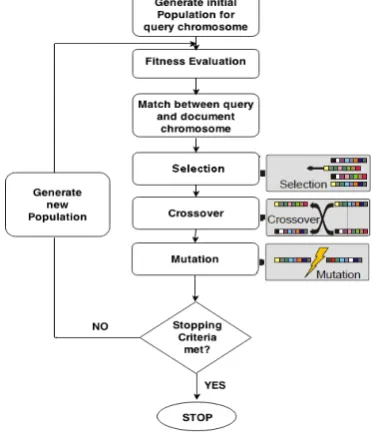 Fig. 1. A general IR system architecture