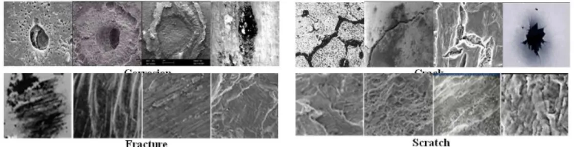 Fig. 2.1: Sample SEM images of Steel defects. 