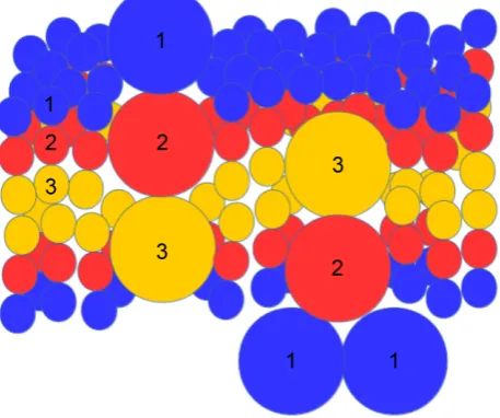 Figure 7. Schematic side view of lipids and proteins organization. 