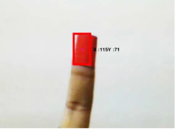 Fig. 6: Image with X and Y coordinates   
