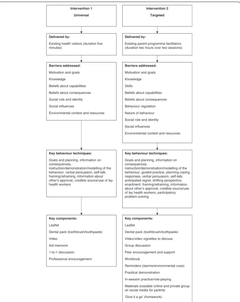 Fig. 2 Diagram of the two intervention pathways, outlining the delivery, barriers addressed and key components of each intervention