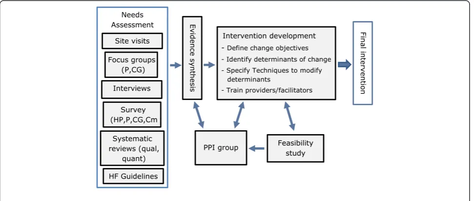 Fig. 1 The intervention development process