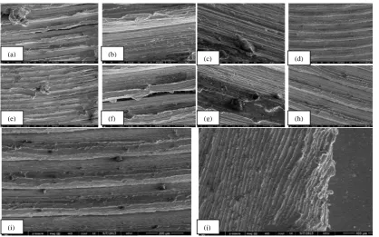 Fig. 4 SEM fractographs of (a) BM, Respectively  different micrometers -500 µm, 400 µm200 µm, 150 µm, 100 µm, 40 µm,  20 µm  at the same feed rate 41.86 mm/min and Same Rotational Speed 1800 rmp