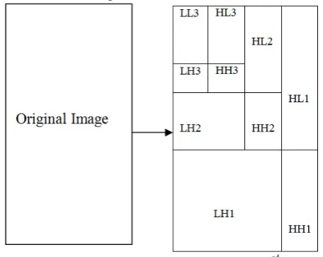 Figure 2: DWT decomposition of image till 3rd level 
