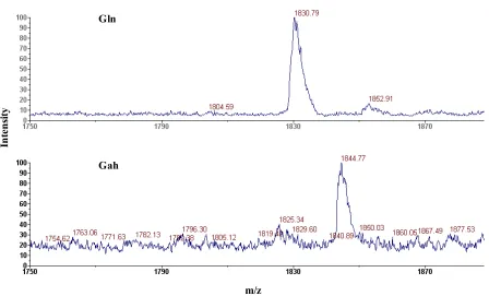 Figure 4.2. MALDI-MS analysis of tryptic digested peptides of mDHFR. The protein was 