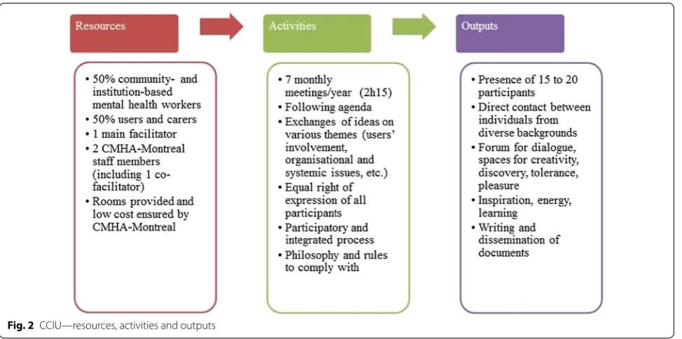 Fig. 2 CCIU—resources, activities and outputs
