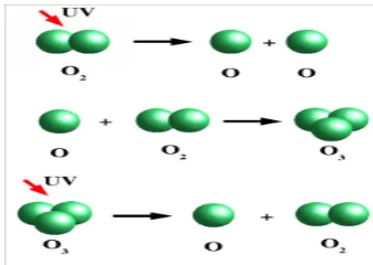 Figure: 2. Ozone formation and destruction.  