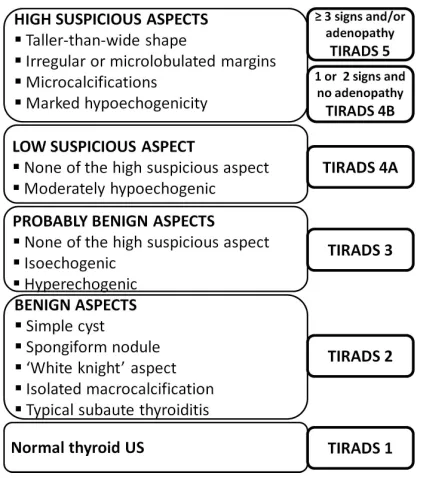 Figure 1. TIRADS classification algorithm [13].