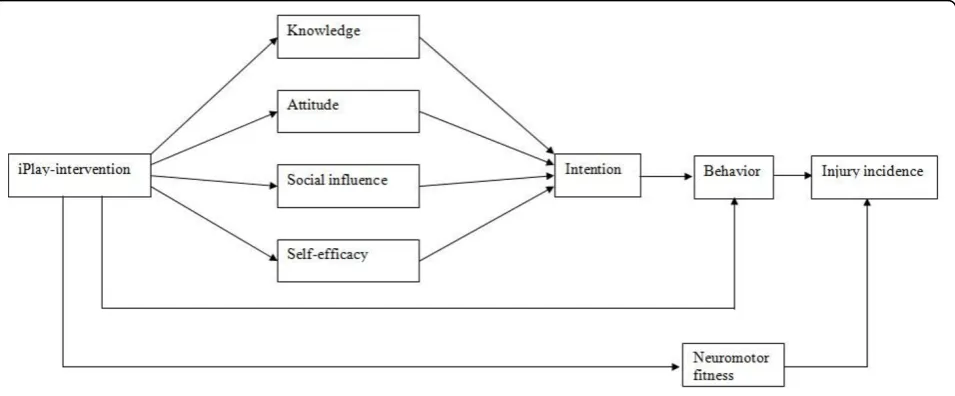 Figure 1 Hypothetical model that was used to for the iPlay-program.