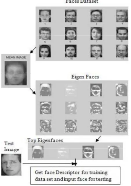 Fig. 5 – A complete process of   PCA, Eigenface and ANN  based faced recognition system  