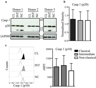 Figure 2. (tinted) versus isotype-matched control (dashed line) in untreated monocyte subsets (left panel) and bar graph of the rMFI from 7 donors