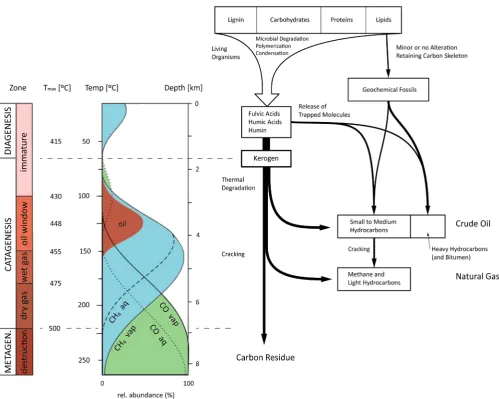 Figure 3. Origin of oil (adapted from [29] [30]). 