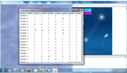 Figure 12: Data after Preprocessing 