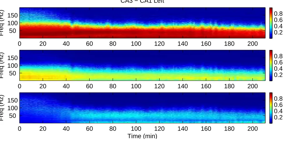Figure 6: Bivariate directionality analysis of LFP recordings from CA3 and CA1 in right hippocampus in an anaesthetised rat