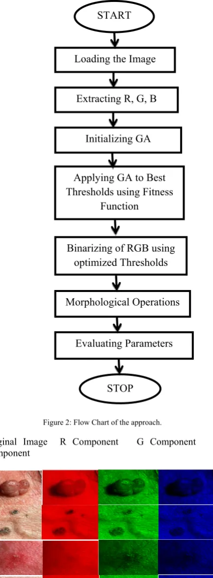 Figure 2: Flow Chart of the approach.  
