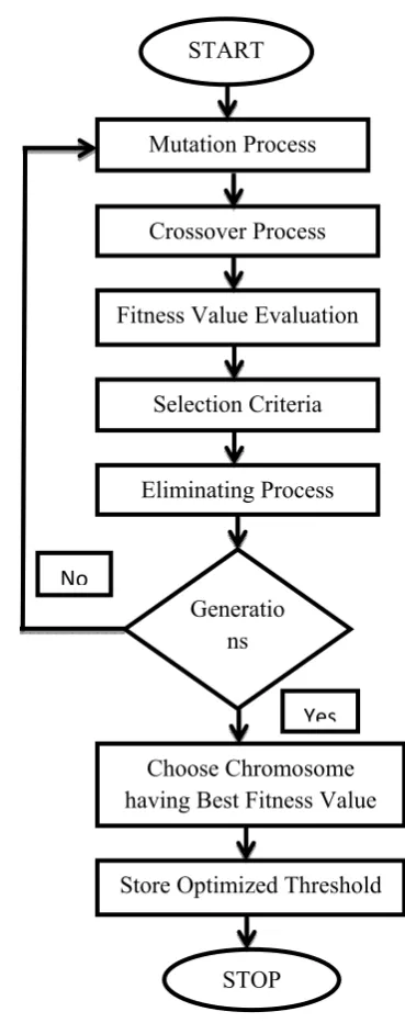 Figure 4: Flow chart describing Genetic Algorithm.  