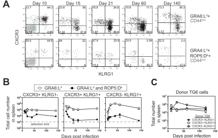 Figure 3A