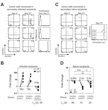 Figure 5ADonor cells recovered in 