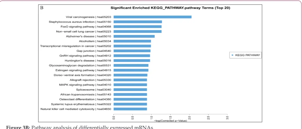 Table 5: Putative miRNAs targeting lncRNAs.