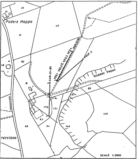Figure - Geophysical survey of the Narni site. 
