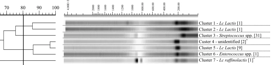 Figure 1. Dendrogram drawn by UPGMA of correlation value of normalized multiplex-PCR patterns from lactococci