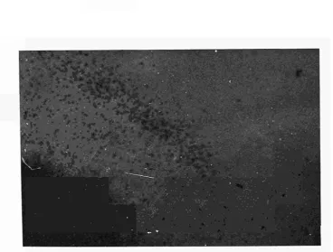 Fig. 2 Schematic cross-section of a coated par-