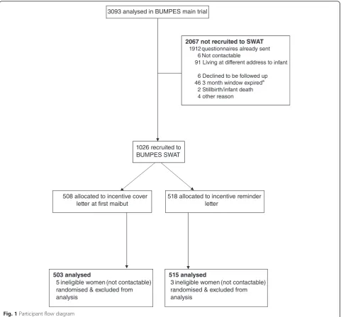 Fig. 1 Participant flow diagram
