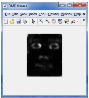 Fig. 2: DMD Frames  Selection of DMD modes: 