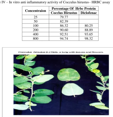 Table IV – In vitro anti inflammatory activity of Cocculus hirustus– HRBC assay 