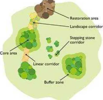 Figure 1. An ecological network.  Reproduced from Lawton (2010). 
