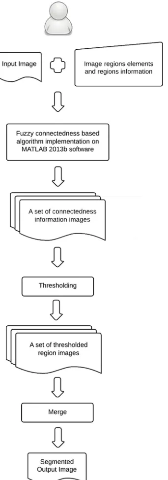 Figure 5 Fuzzy connectedness algorithm flowchart 