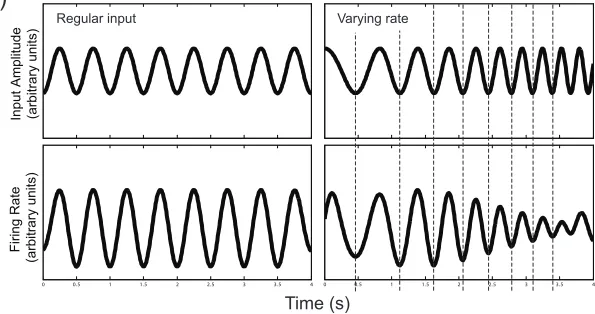 Figure 1a)