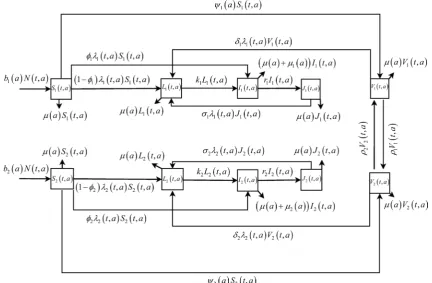 Figure 1. Flow chart of the two-patch model for tuberculosis disease transmission. 