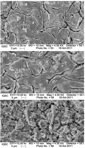 Figure 3. SEM surface image of the oxide electrodes, original magnification 4000× (a) Ti/Ir0.3Ti0.4Sn0.3O2; (b) Ti/Ir0.2Ti0.3Sn0.5O2; (c) Ti/Ru0.3Ti0.4Sn0.3O2