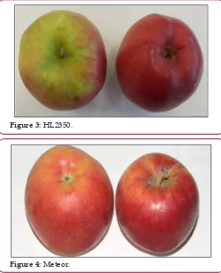 Figure 3: HL2350.