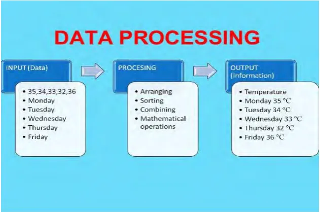 Figure 2.2: Example of Data Image Processing Cycle (Abbasi, 2013) 