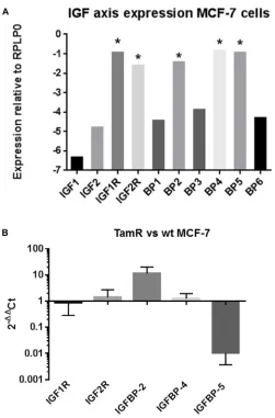 Figure 1: (A) Expression of 10 IGF axis genes in MCF-7 cells. Expression is plotted on a logarithmic scale relative to the house keeping gene RPLP0 and is represented as 2-ΔCt (see methods section for further details)
