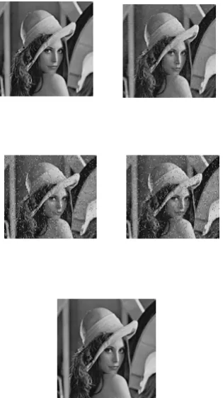 Fig 4. De-noising results for the image “Lena” with  α = 40 