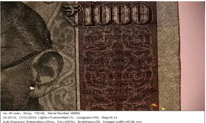 Figure 11: Paper currency note Rs.1000 showing latent image in 365nm UV light.