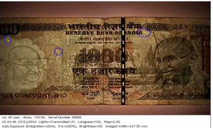 Figure 15:  Paper currency note Rs.1000 showing optical security fibers giving Yellow fluorescence under transmitted UV